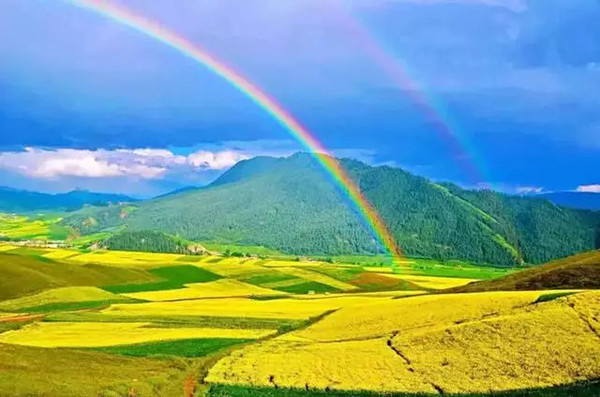 揭秘青海，高原之美与文化之魅