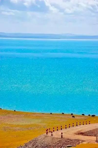 揭秘青海,高原之美与文化之魅