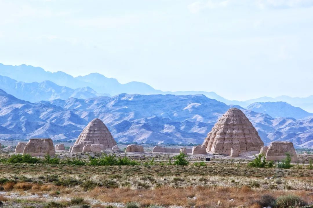 宁夏绿色崛起,生态经济新标杆打造纪实